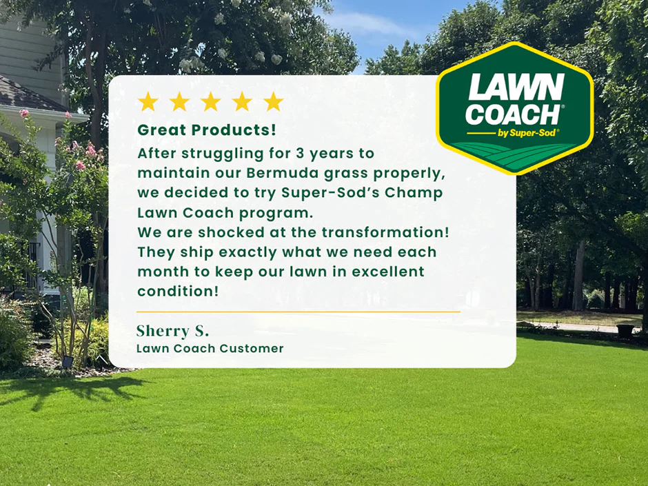 Champ Lawn Coach for Bermuda, Centipede, Zoysia, Tall Fescue - Image 3