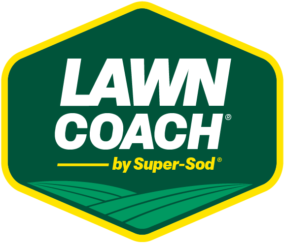 Champ Lawn Coach for Bermuda, Centipede, Zoysia, Tall Fescue - Image 6