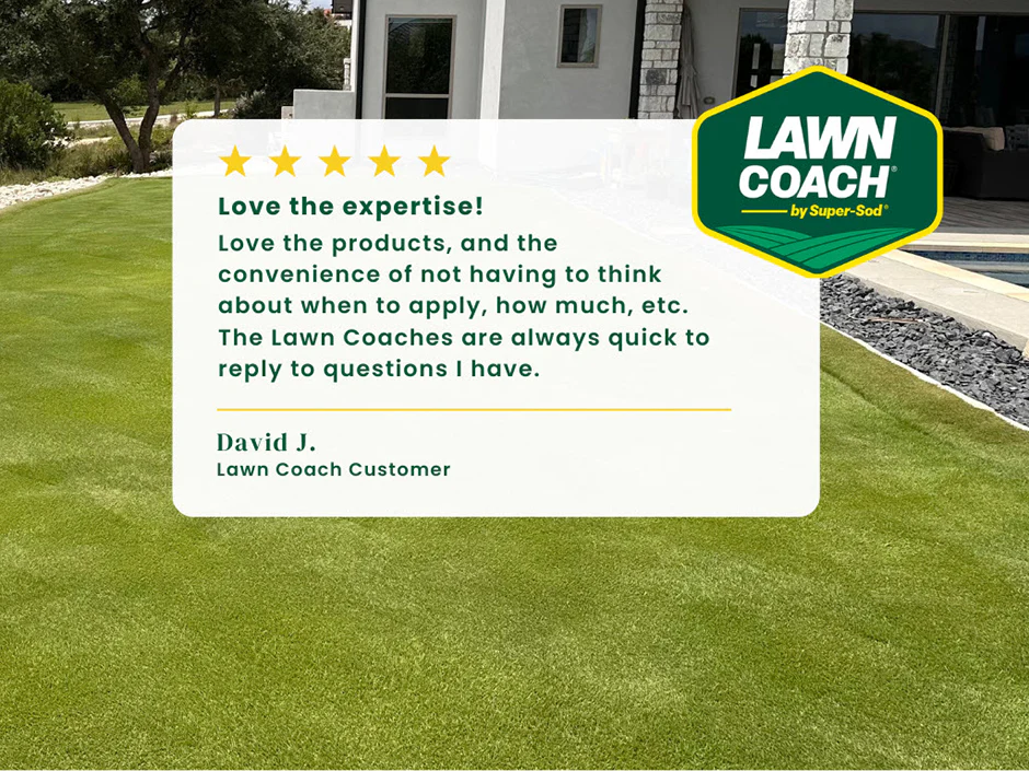 Essential Lawn Coach for Bermuda, Centipede, Zoysia, Tall Fescue - Image 3
