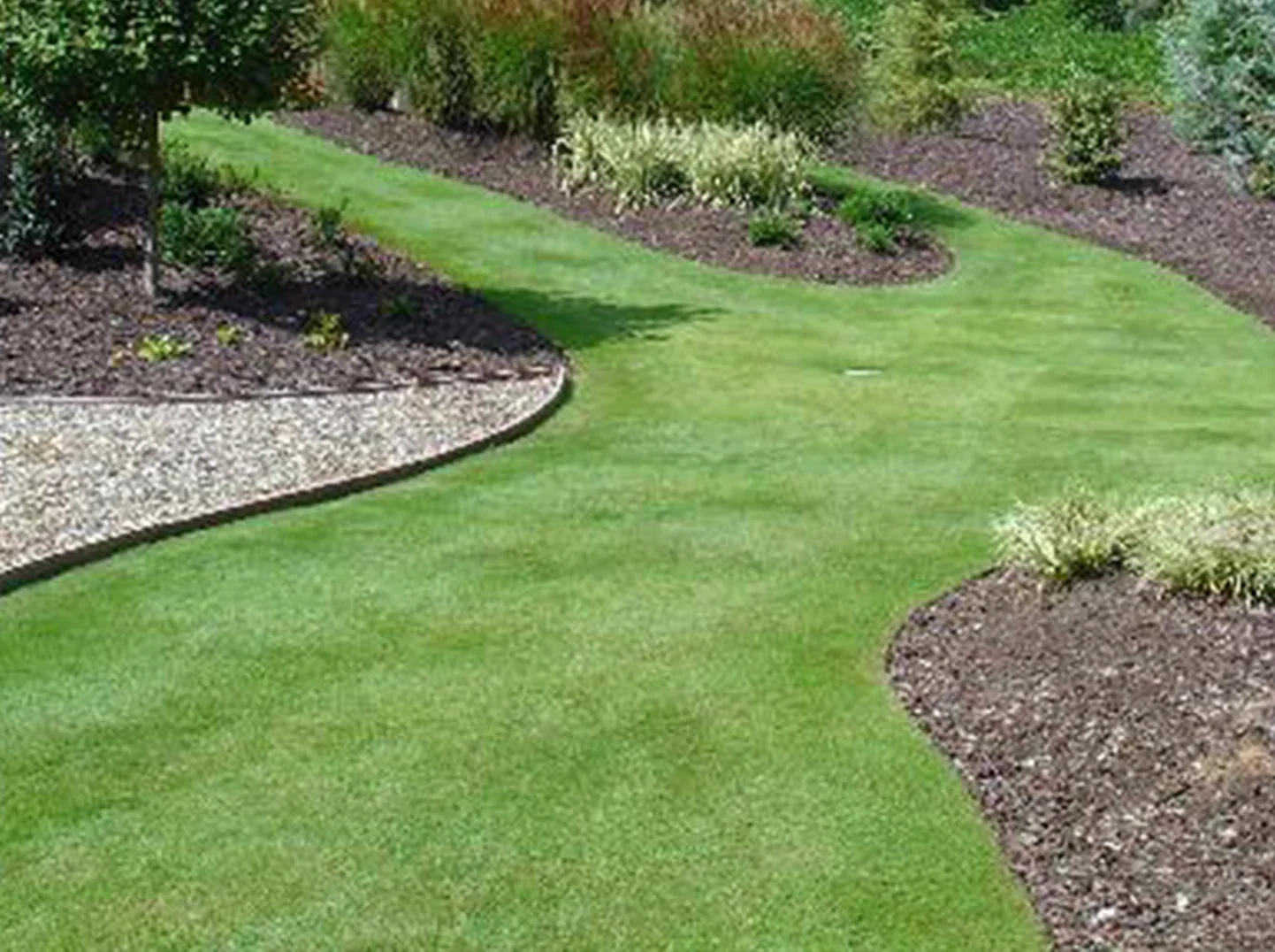 Zeon Zoysia Sod - Image 4