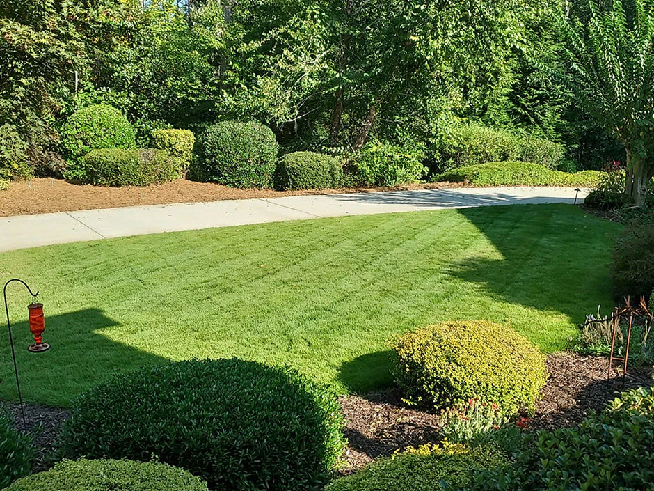 Zeon Zoysia Sod - Image 5