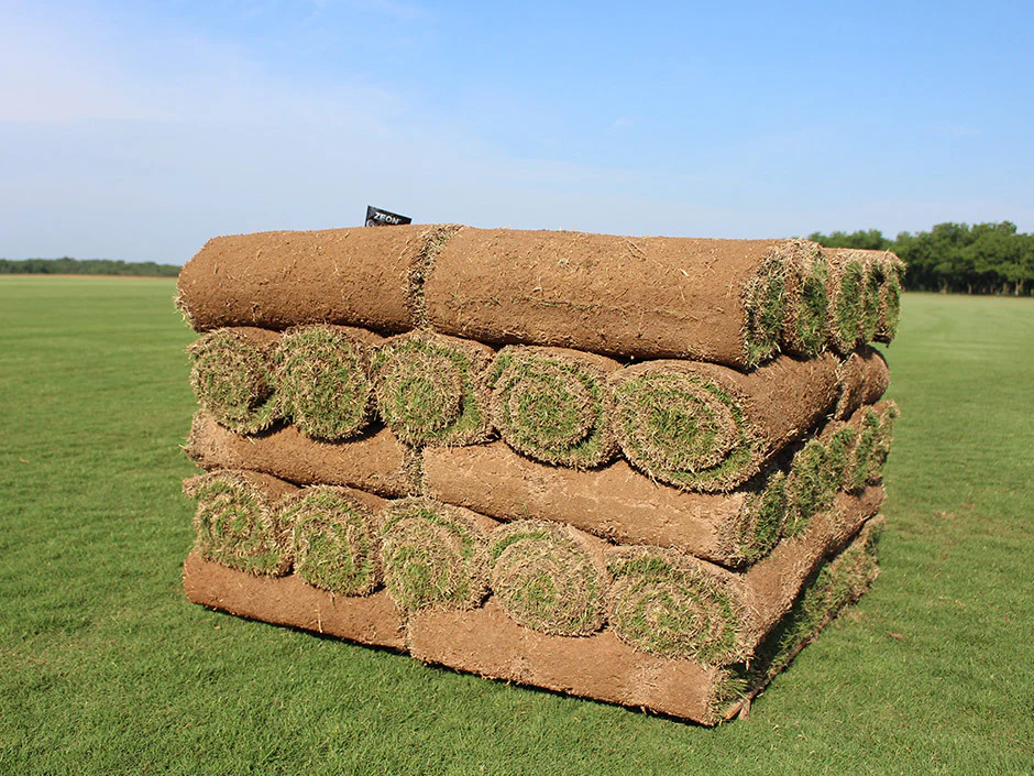 Zeon Zoysia Sod - Image 7